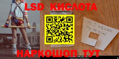амф Новодвинск