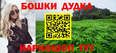 гашик Новозыбков
