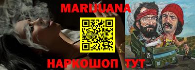 гашик Новозыбков