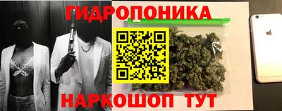 гашик Новозыбков