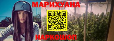 гашик Новозыбков