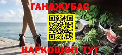 гашик Новозыбков